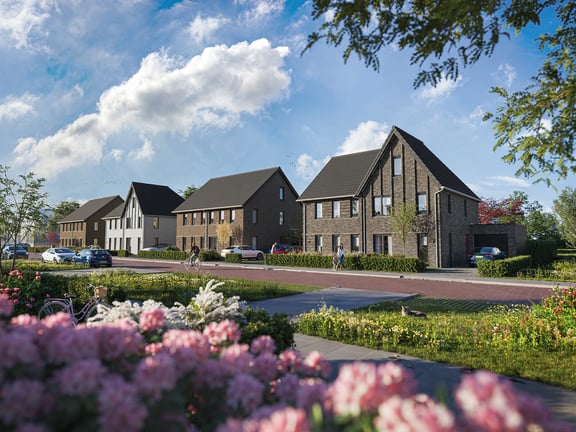 Weideblik in woongebied Gravenbeek, Oldenzaal